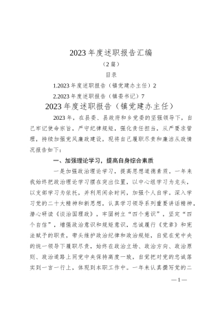 （2篇）2023年度述职报告汇编