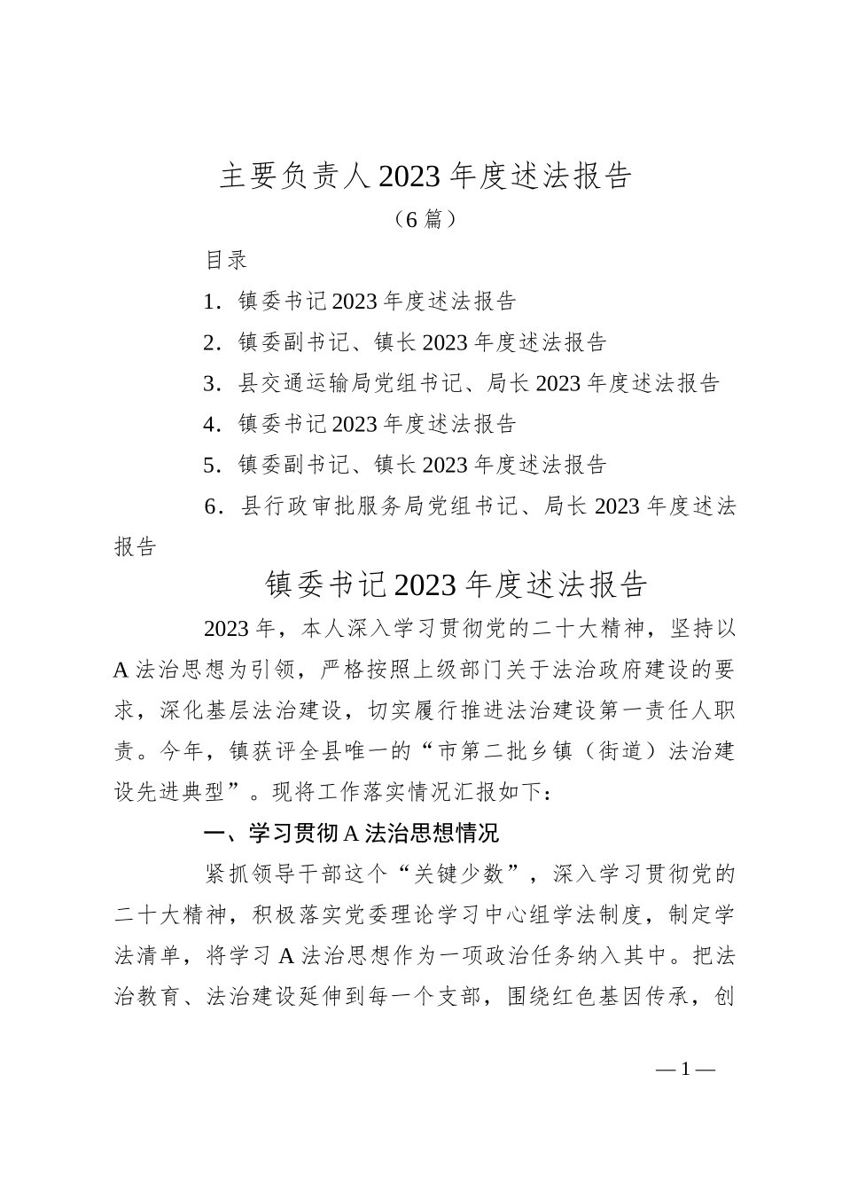 （6篇）主要负责人2023年度述法报告_第1页
