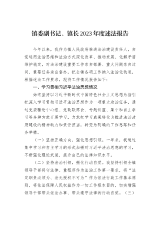 镇委副书记、镇长2023年度述法报告