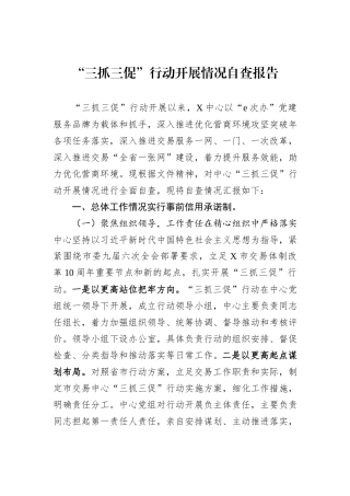 “三抓三促”行动开展情况自查报告