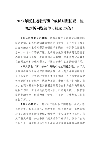 2023年度主题教育班子成员对照检查、检视剖析问题清单（精选20条）
