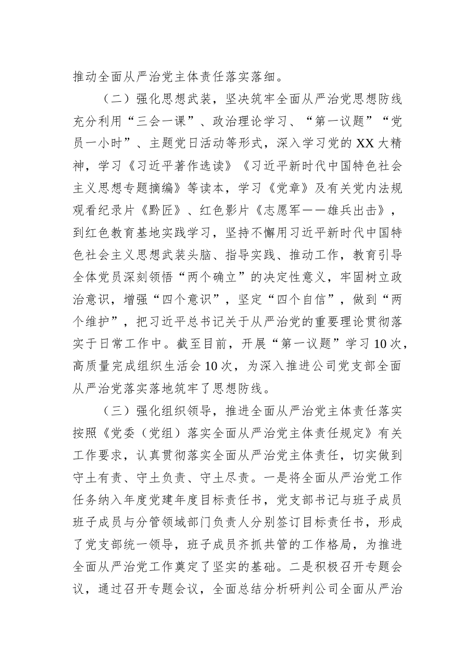 2023年公司党支部全面从严治党工作报告_第2页