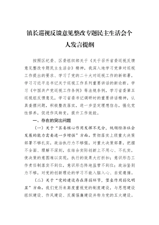 镇长巡视反馈意见整改专题民主生活会个人发言提纲