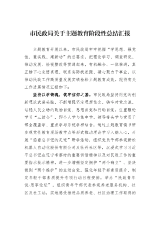 市民政局关于主题教育阶段性总结汇报