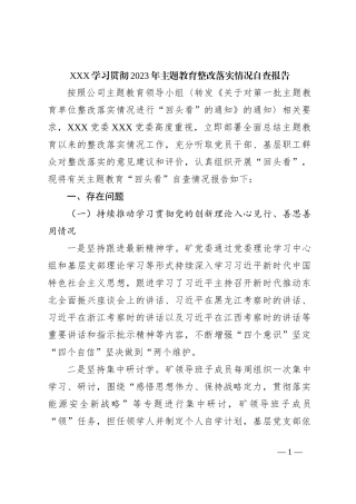 XXX学习贯彻2023年主题教育整改落实情况自查报告