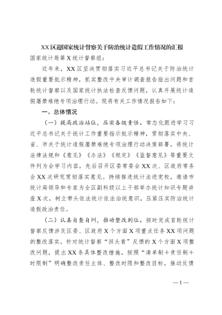 XX区迎国家统计督察关于防治统计造假工作情况的汇报