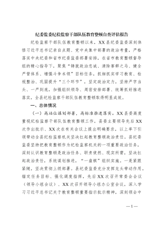 纪委监委纪检监察干部队伍教育整顿自查评估报告