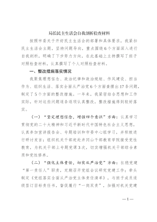 局长民主生活会自我剖析检查材料