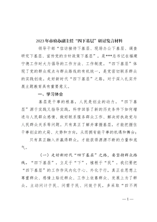 2023年市府办副主任“四下基层”研讨发言材料