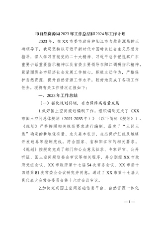 市自然资源局2023年工作总结和2024年工作计划