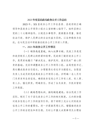 2023年度县民政局政务公开工作总结