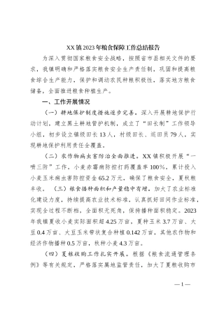 XX镇2023年粮食保障工作总结报告