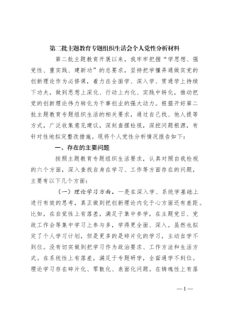 第二批主题教育专题组织生活会个人党性分析材料
