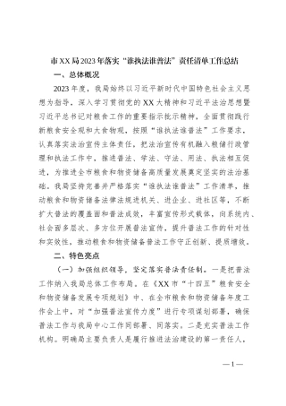 市XX局2023年落实“谁执法谁普法”责任清单工作总结