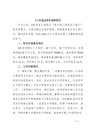 XX街道总林长述职报告