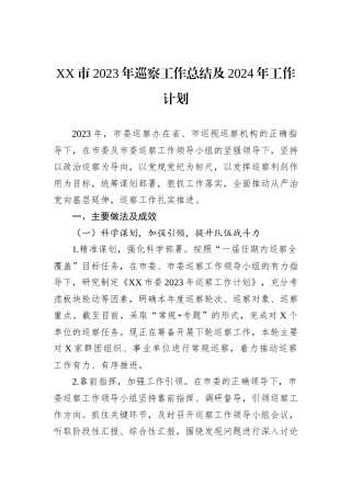 XX市2023年巡察工作总结及2024年工作计划