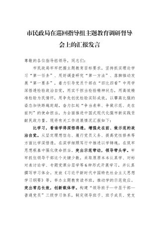 市民政局在巡回指导组主题教育调研督导会上的汇报发言