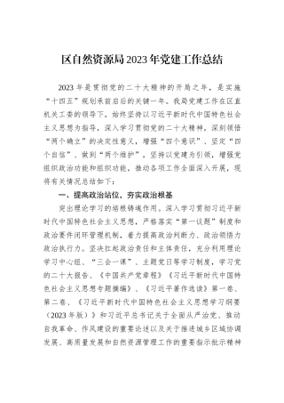 区自然资源局2023年党建工作总结