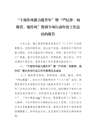 “干部作风能力提升年”暨“严纪律、知敬畏、强作风”整训专项行动年度工作总结的报告