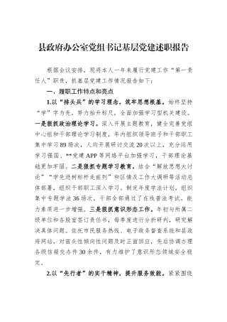 县政府办公室党组书记基层党建述职报告