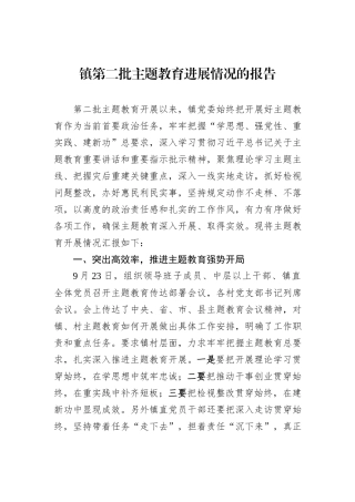 镇第二批主题教育进展情况的报告