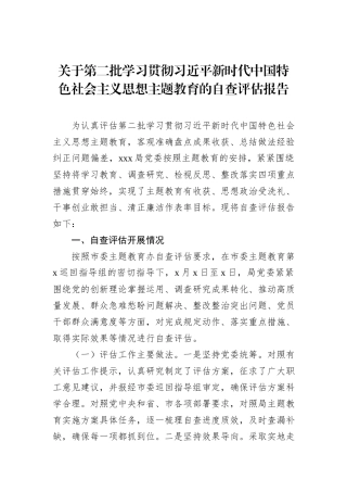 关于第二批学习贯彻习近平新时代中国特色社会主义思想主题教育的自查评估报告