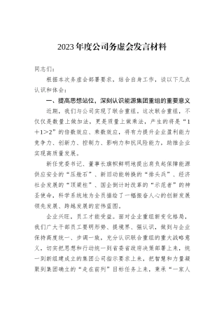 2023年度公司务虚会发言材料