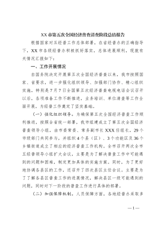 XX市第五次全国经济普查清查阶段总结报告