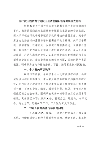 第二批主题教育专题民主生活会副职领导对照检查材料
