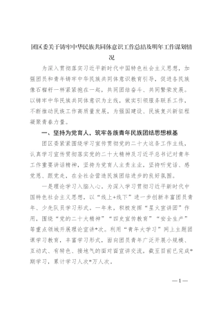 团区委关于铸牢中华民族共同体意识工作总结及明年工作谋划情况