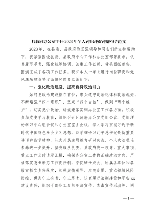 县政府办公室主任2023年个人述职述责述廉报告工作总结汇报