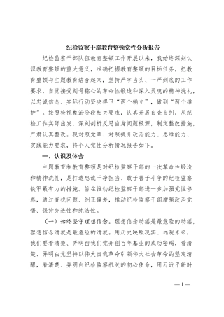 纪检监察干部教育整顿党性分析报告