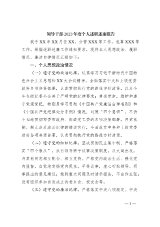 领导干部2023年度个人述职述廉报告