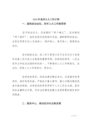 2024年龙母人大工作计划