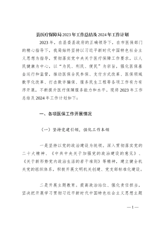 县医疗保障局2023年工作总结及2024年工作计划