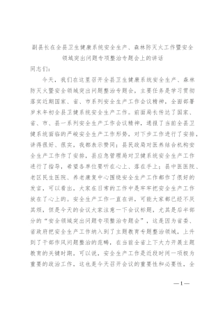 副县长在全县卫生健康系统安全生产、森林防灭火工作暨安全领域突出问题专项整治专题会上的讲话