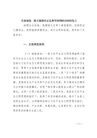 在参加第二批主题教育正反典型案例研讨时的发言