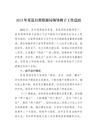 2023年某县自然资源局领导班子工作总结