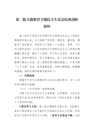 第二批主题教育专题民主生活会检视剖析材料