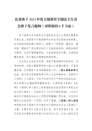 县委班子2023年度主题教育专题民主生活会班子发言提纲（对照新的6个方面）