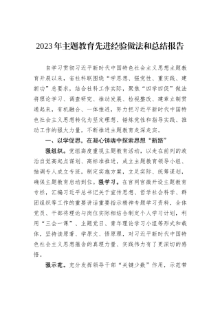 2023年主题教育先进经验做法和总结报告