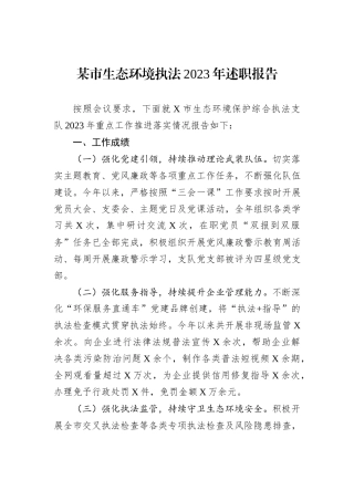 某市生态环境执法2023年述职报告