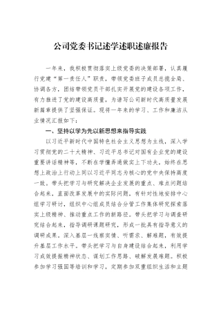 公司党委书记述学述职述廉报告