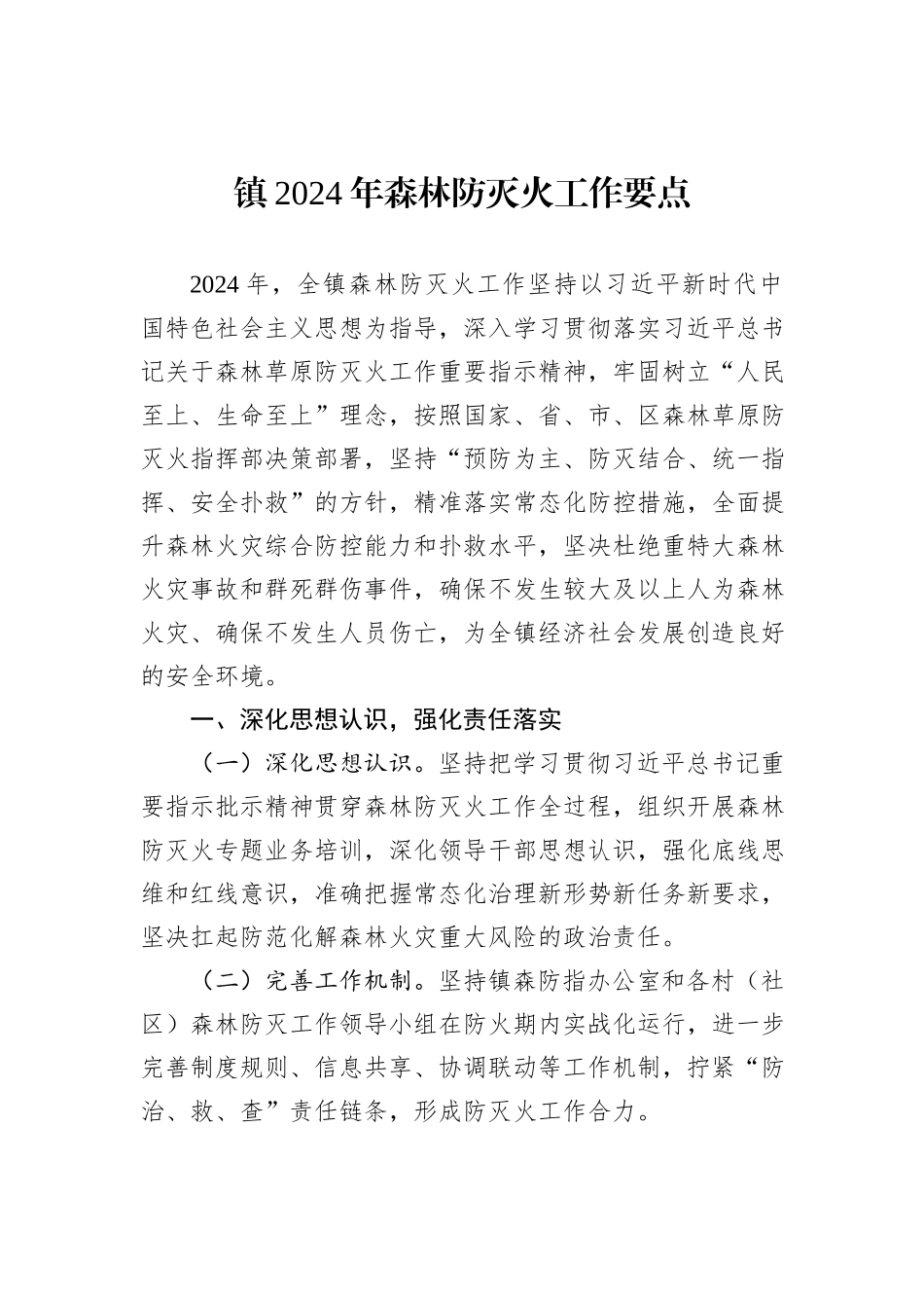 镇2024年森林防灭火工作要点_第1页