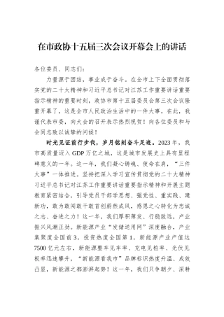 在市政协十五届三次会议开幕会上的讲话