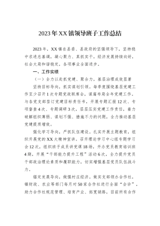 2023年XX镇领导班子工作总结