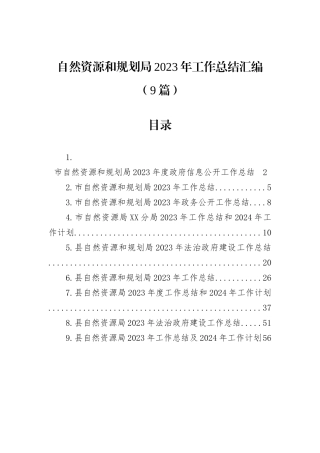 自然资源和规划局2023年工作总结汇编（9篇）