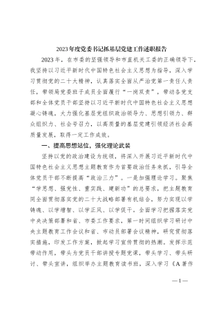 2023年度党委书记抓基层党建工作述职报告2200字