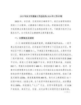2023年区卫生健康（卫健）工作总结