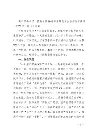 2023年主题教育民主生活会个人对照检查材料 市纪委书记（践行宗旨等6个方面）